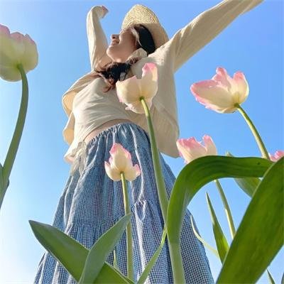 写珍集